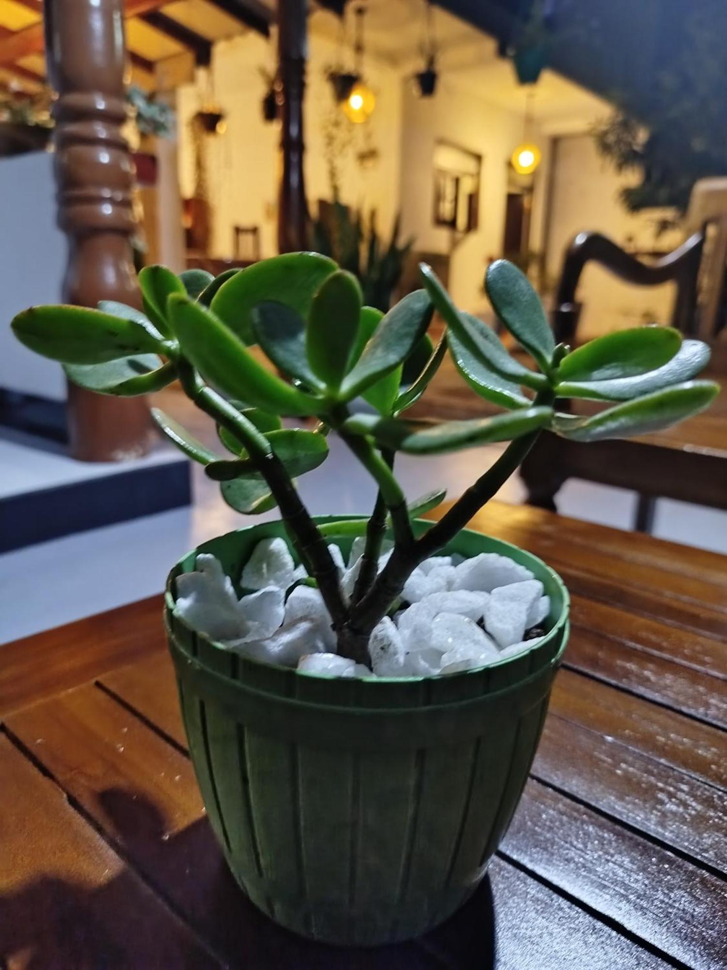 Little Villa Guest House Ахангама Екстериор снимка